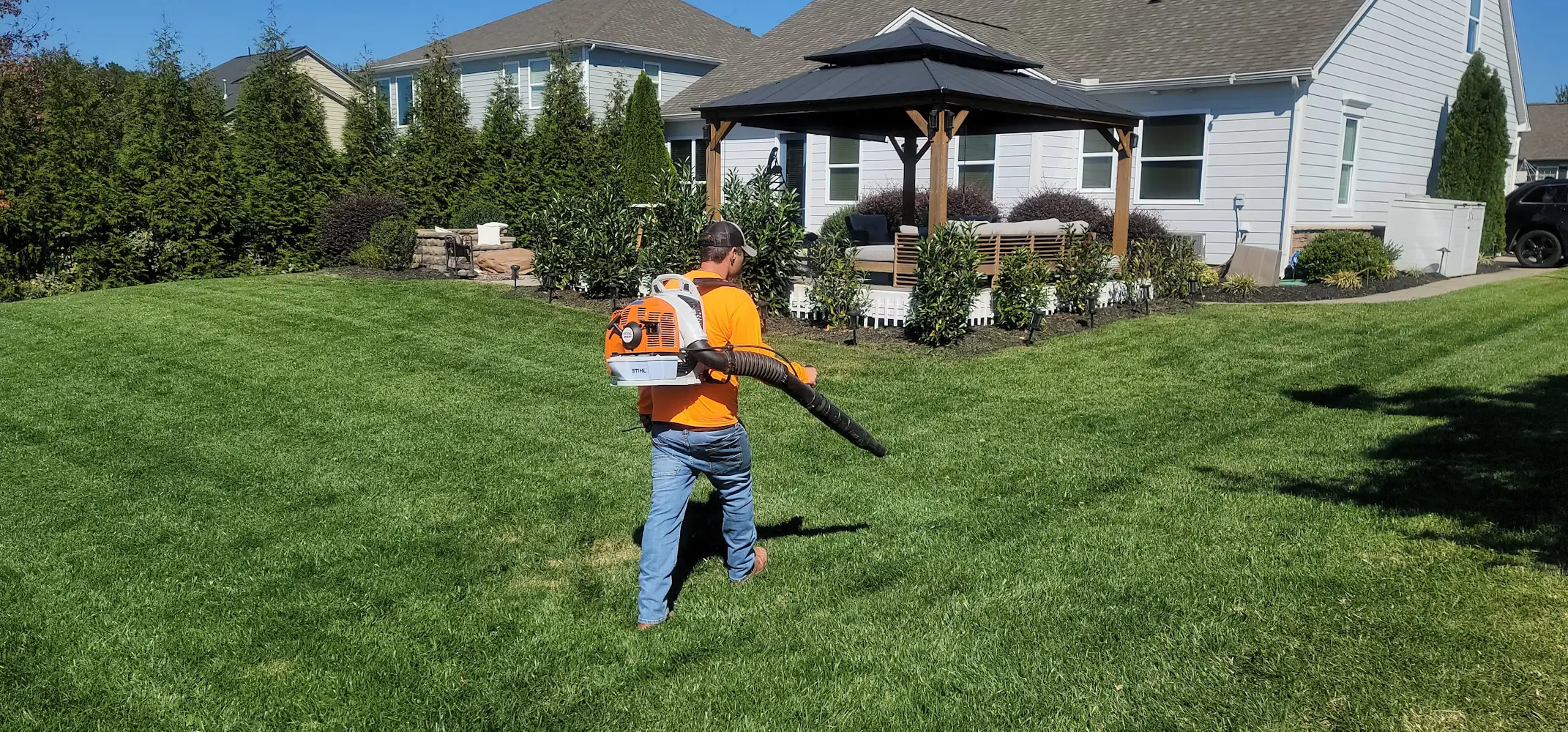 A professional landscaping team working together to build a garden