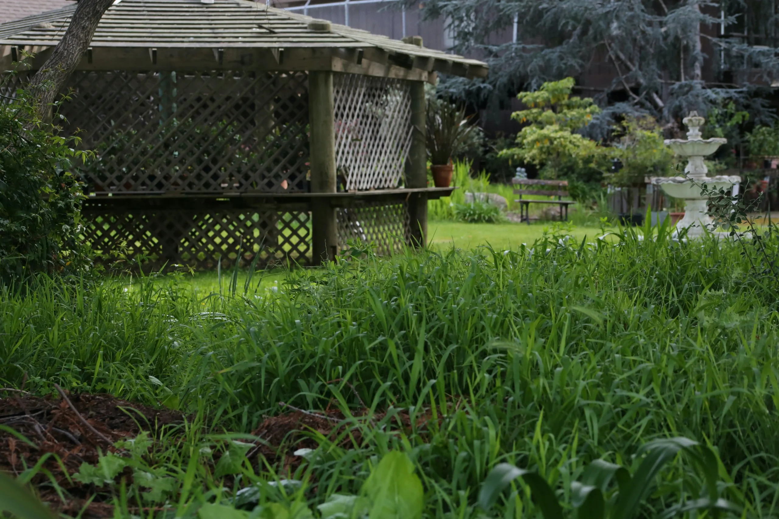 After GreenScape Pro's work: a luxury landscape with a stone patio and modern seating.