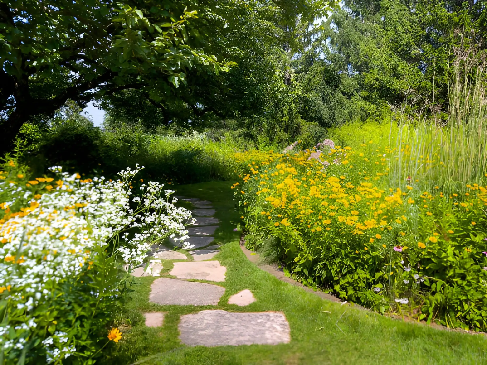 Beautiful flower garden path